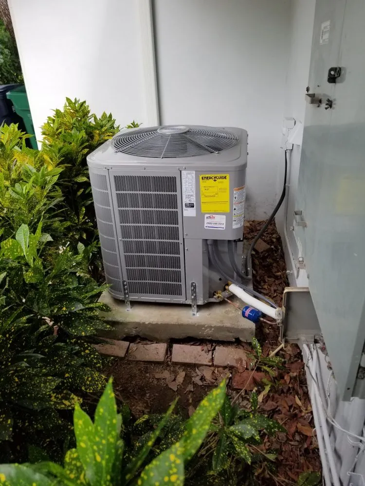 Slide of Brumal Services