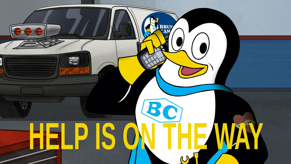 Slide of Bruni & Campisi