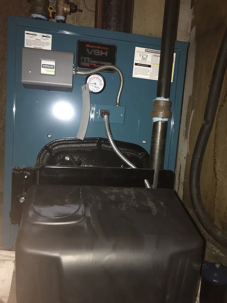 Slide of Bruni & Campisi