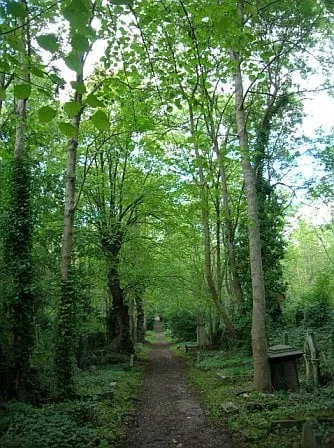 Slide of Bryan W Tanori Air Conditioning Service & Repair