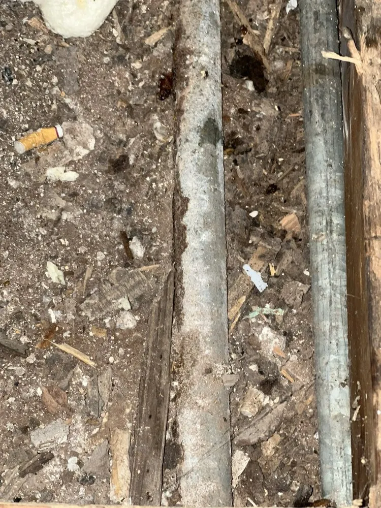 Slide of Buddy's Plumbing Mechanical and Home Inspections