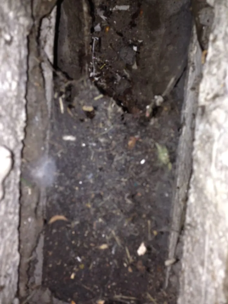 Slide of Budget Duct Service