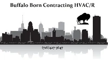 Slide of Buffalo Born Contracting