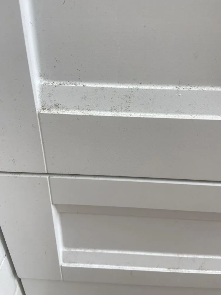 Slide of Buffalo Event Parties