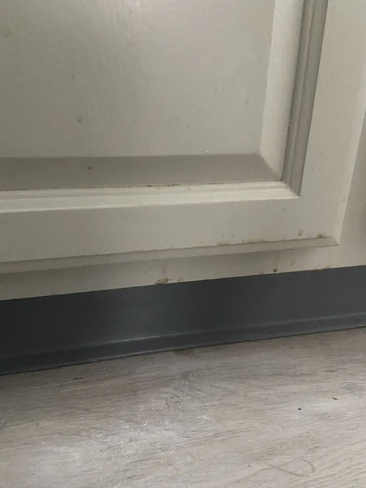 Slide of Buffalo Event Parties