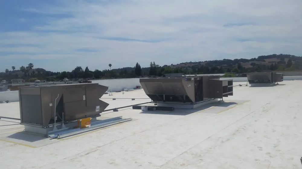 Slide of Buffalo's Mechanical