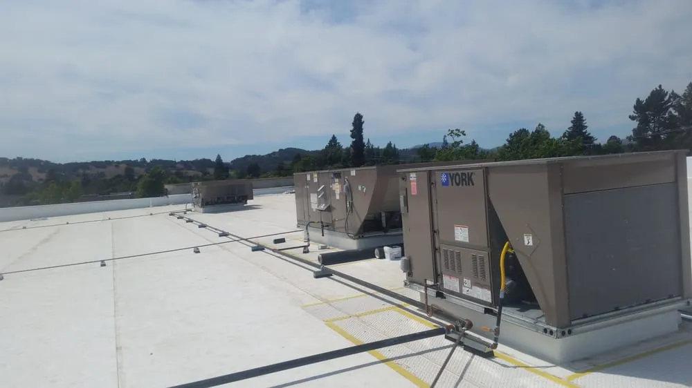 Slide of Buffalo's Mechanical