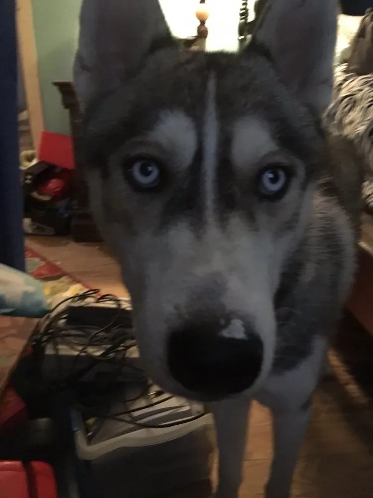 Slide of Buffington Brothers Heating & Cooling