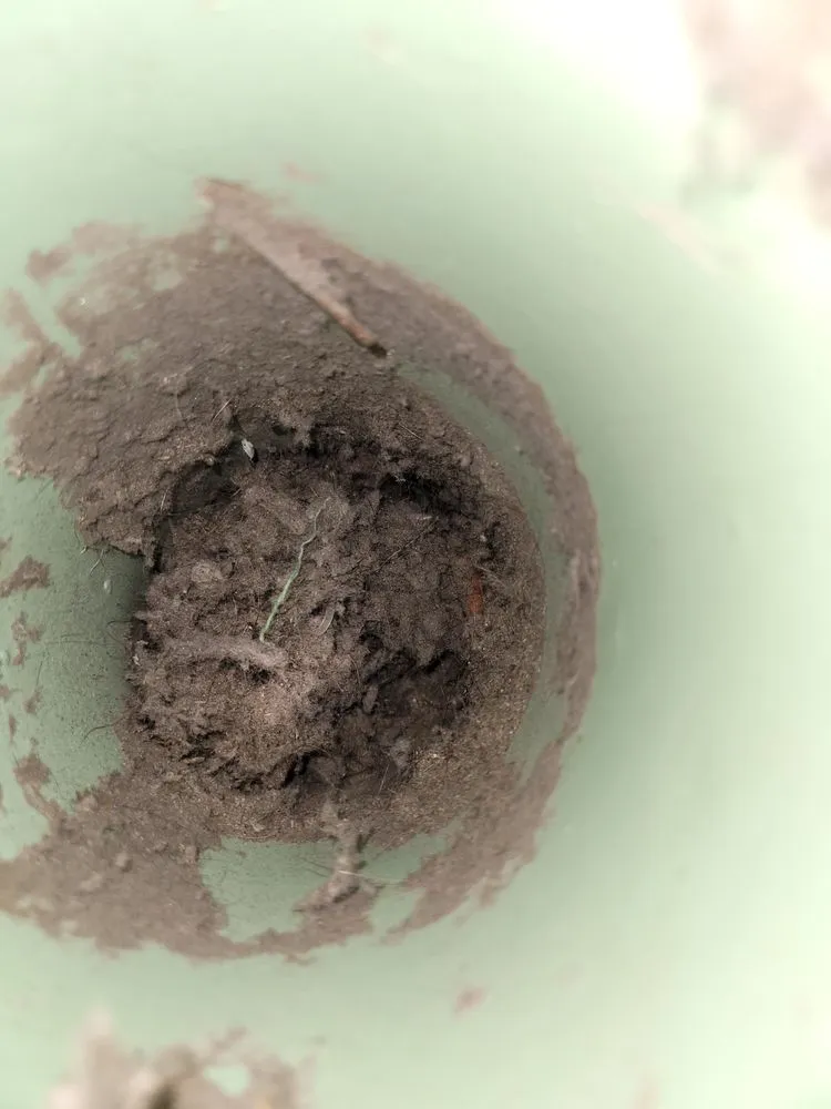 Expert AC installation experts serving St. Marys, GA - Bulldog Dryer Vent Cleaning