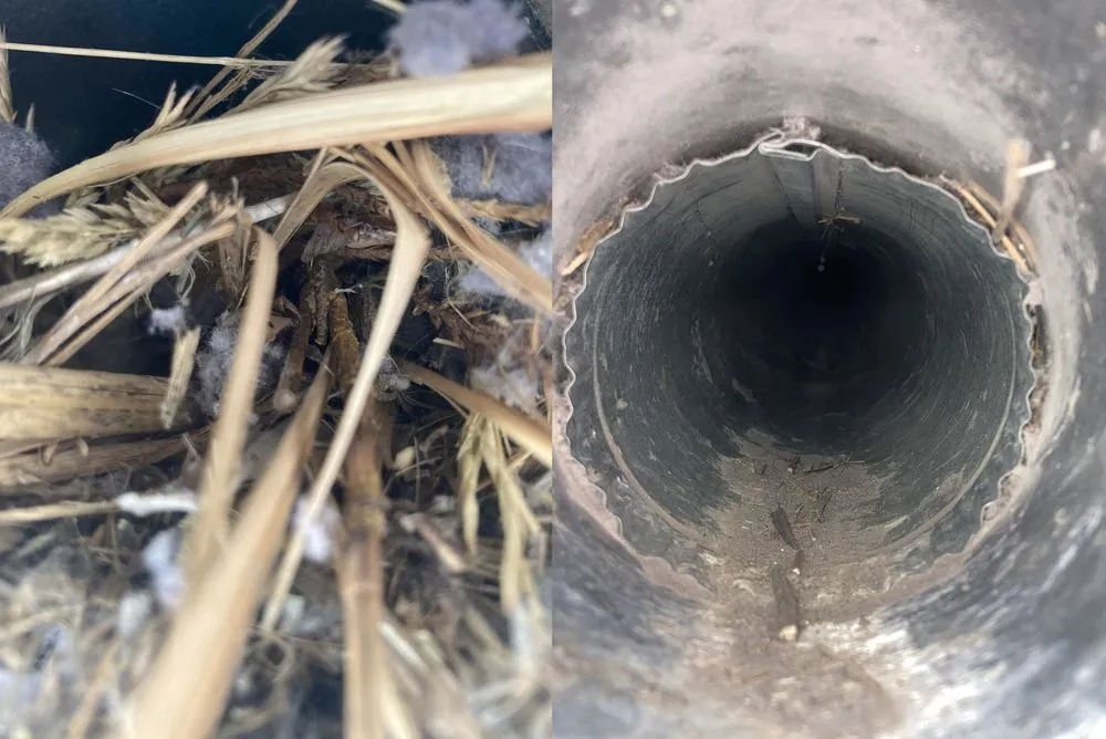 Slide of Bulldog Home Comfort