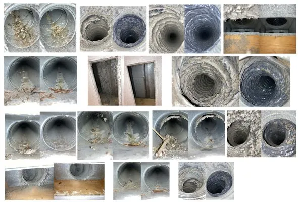 Bulldog Home Comfort