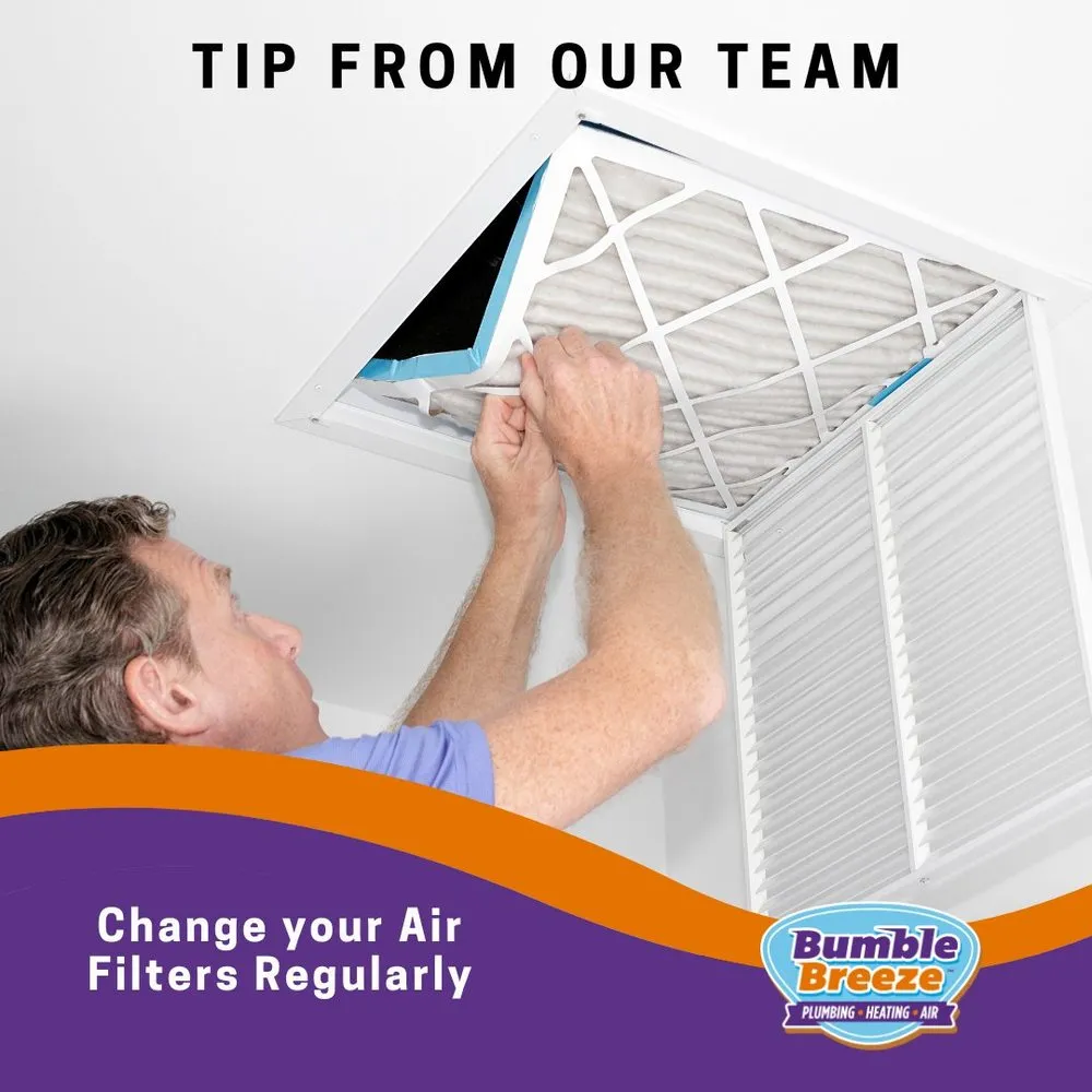 Slide of Bumble Breeze