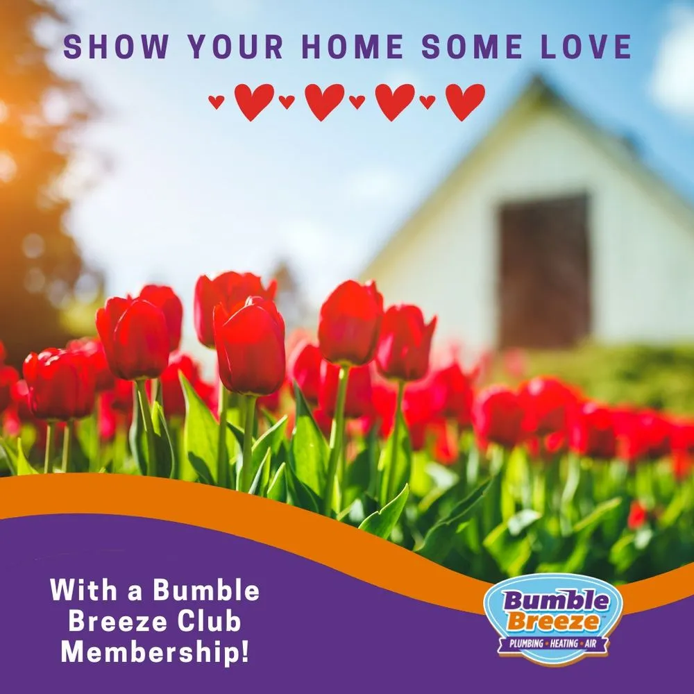 Slide of Bumble Breeze