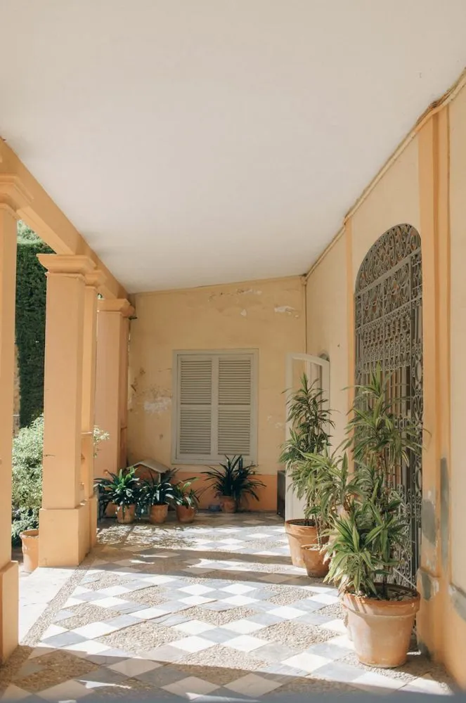 Slide of Bunny Care Services