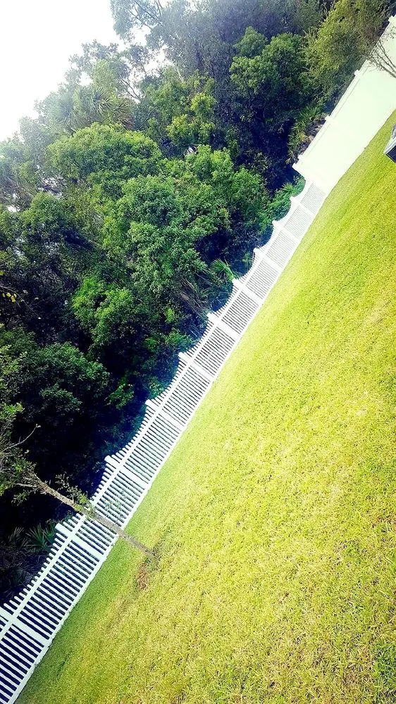 Slide of Bunny Care Special Services