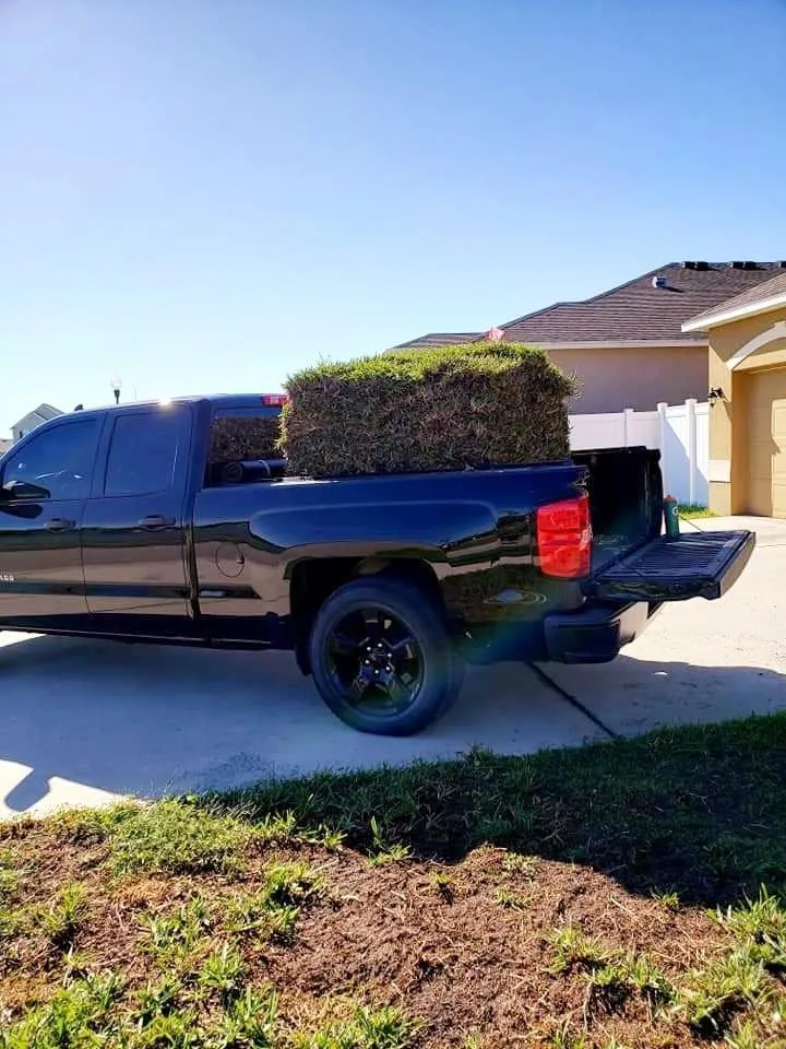 Slide of Bunny Care Special Services