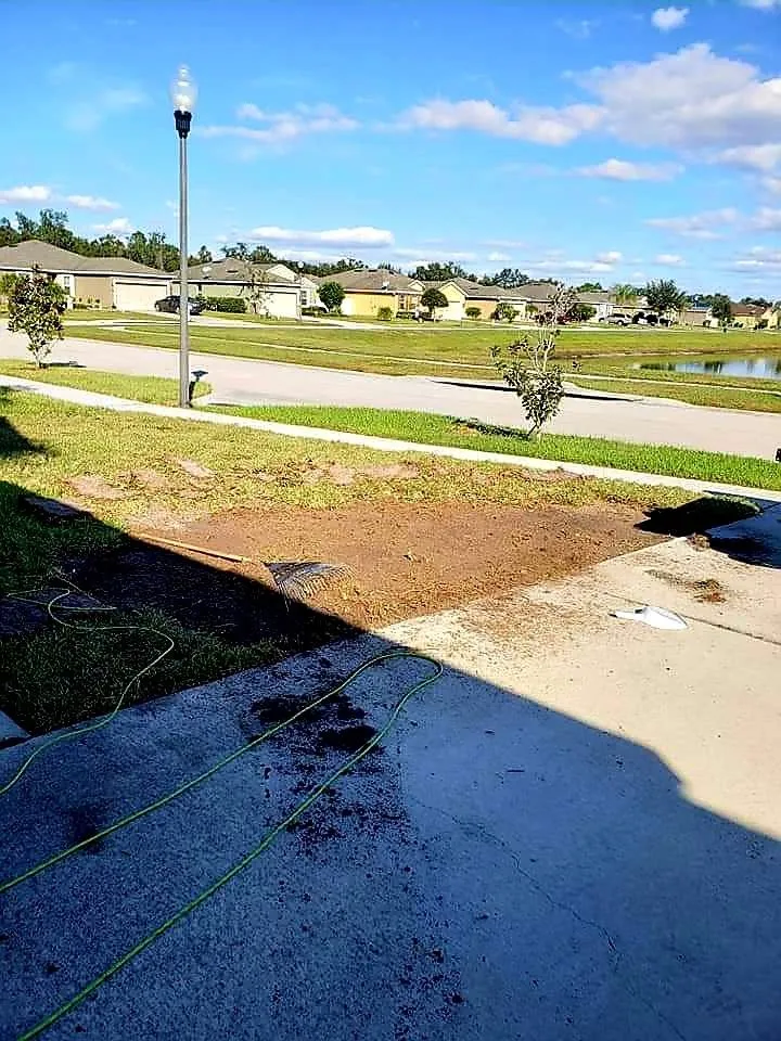 Slide of Bunny Care Special Services