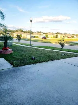 Bunny Care Special Services Logo