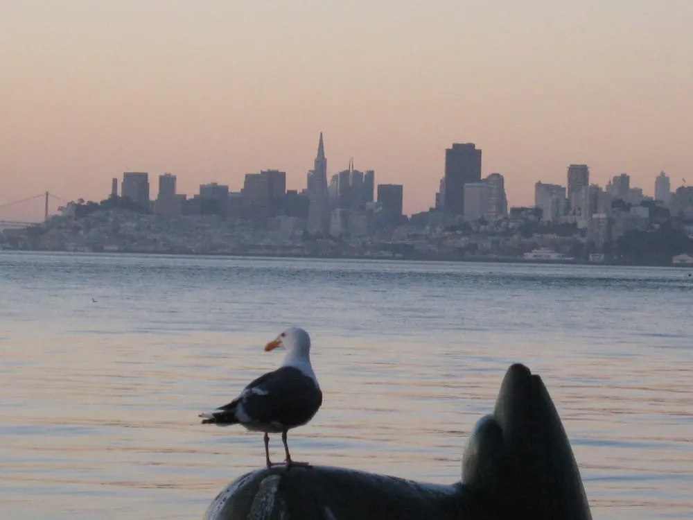 Slide of Burkell Plumbing