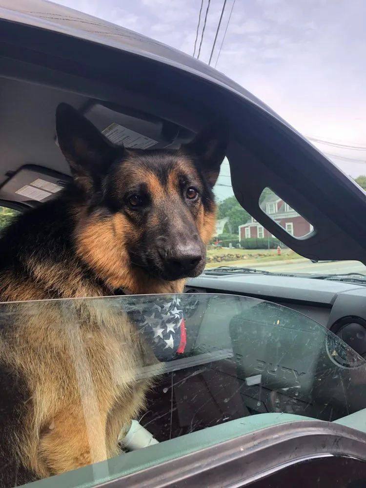 Slide of Bursaw Gas and Oil