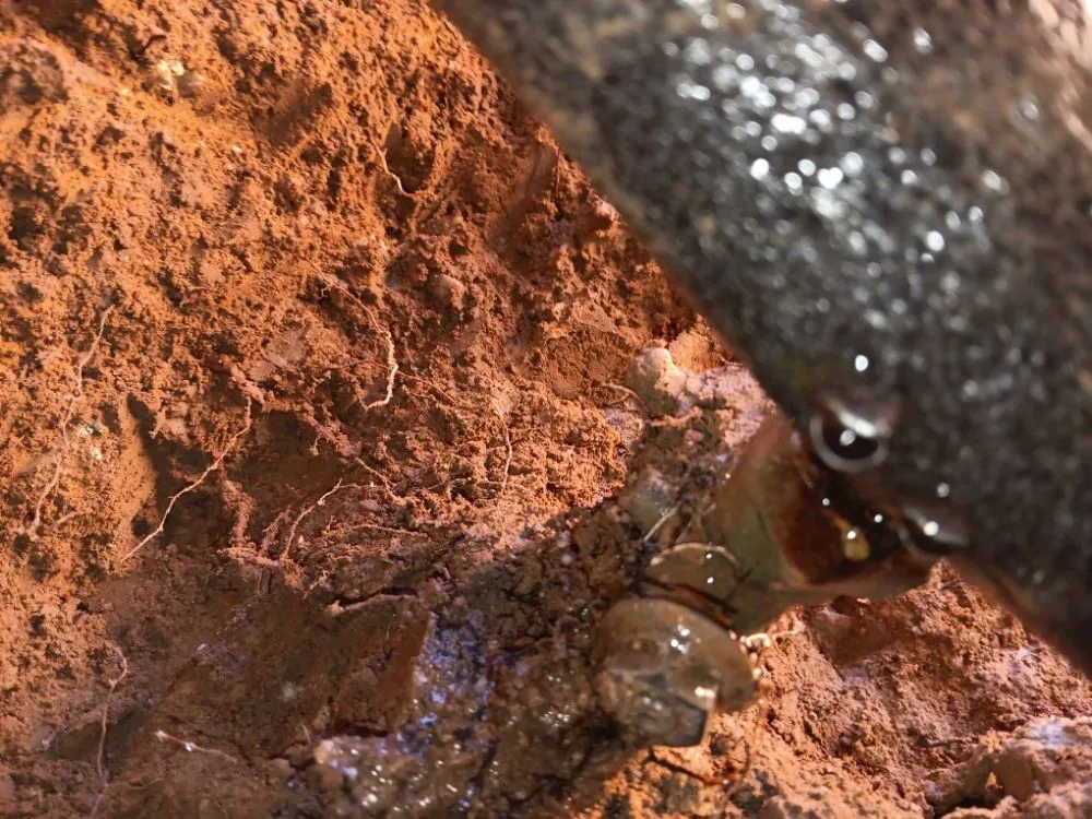 Slide of Butler Mechanical Repair Service