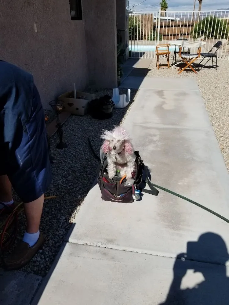 Slide of By Choice Heating and Air