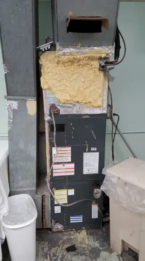 Slide of C and D Heating and Cooling