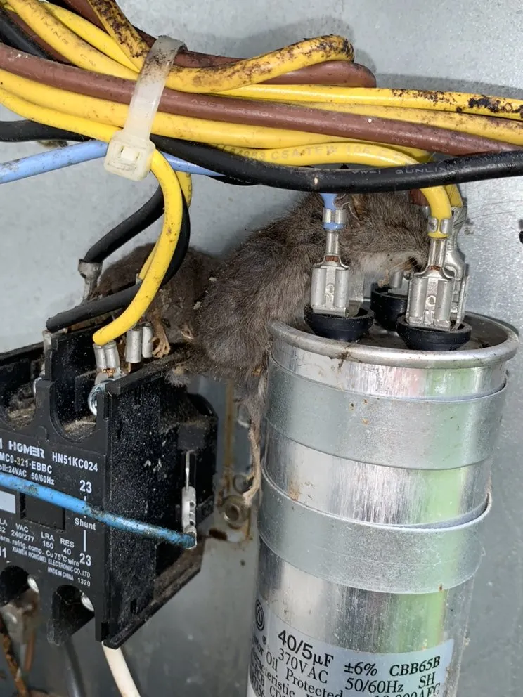 Slide of C and V Home Services