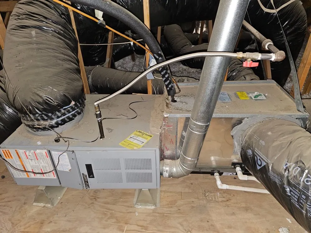 Slide of C C Jones Technical