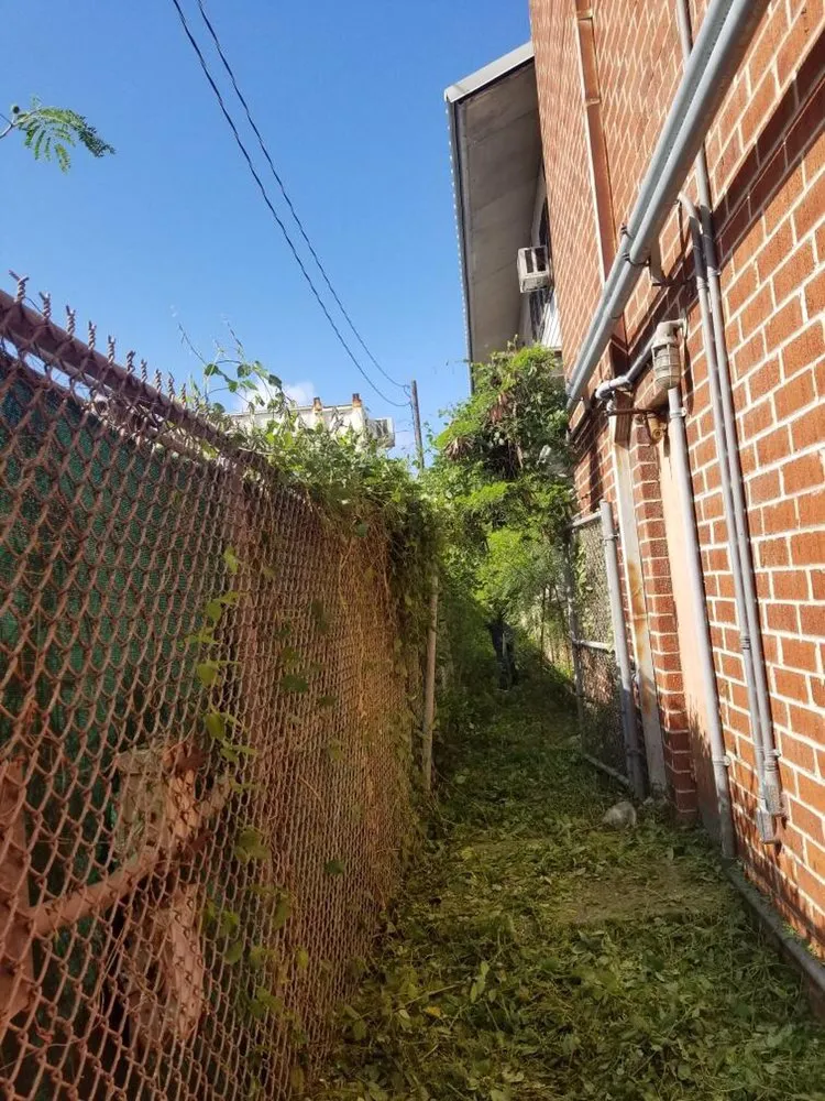 Slide of C S Maintenance