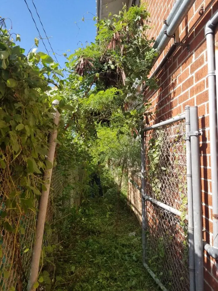 Slide of C S Maintenance