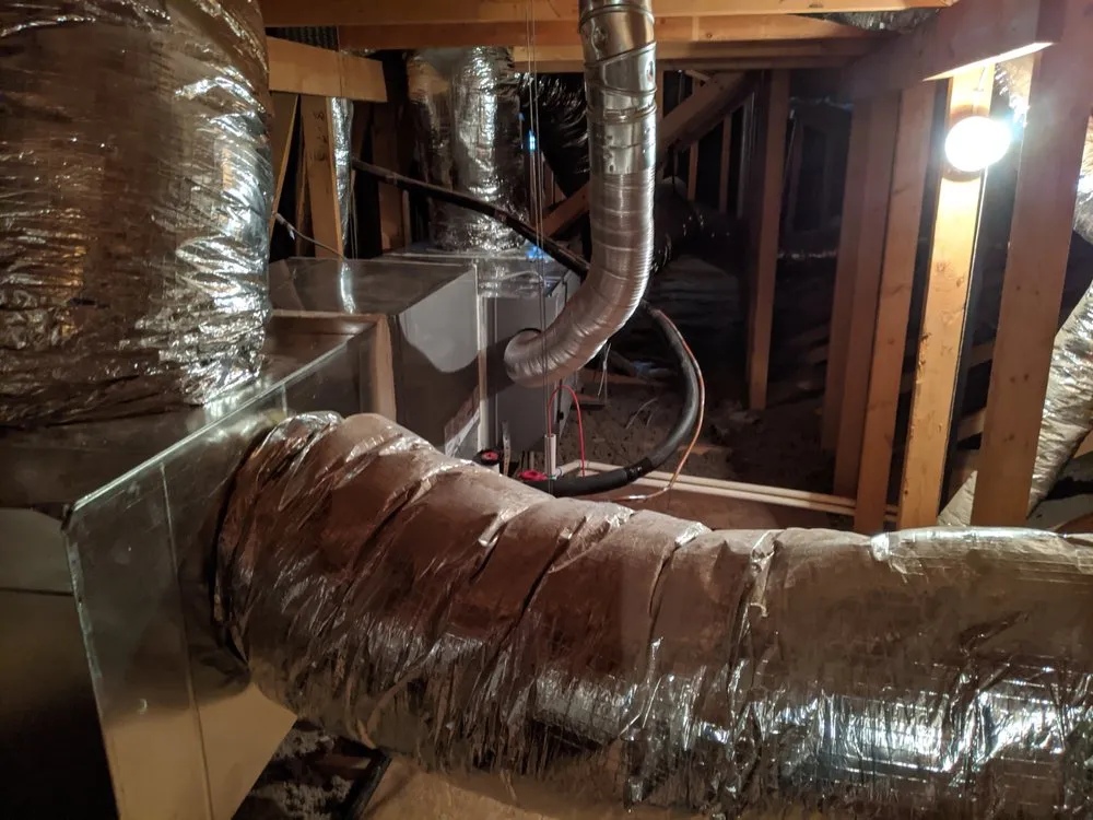 Slide of Cactus Mechanical