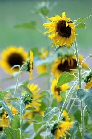 Slide of Cadco Heating & Cooling