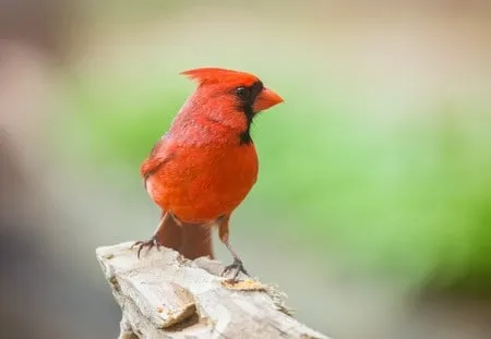 Slide of Cadco Heating & Cooling