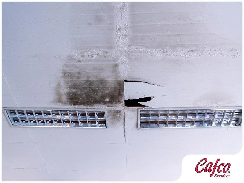 Slide of Cafco Services