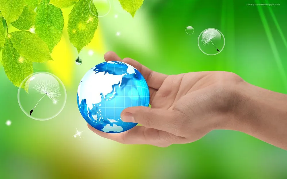 Slide of Cal Star Energy Rating