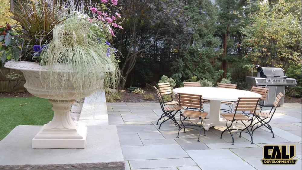 Slide of CALI Developments