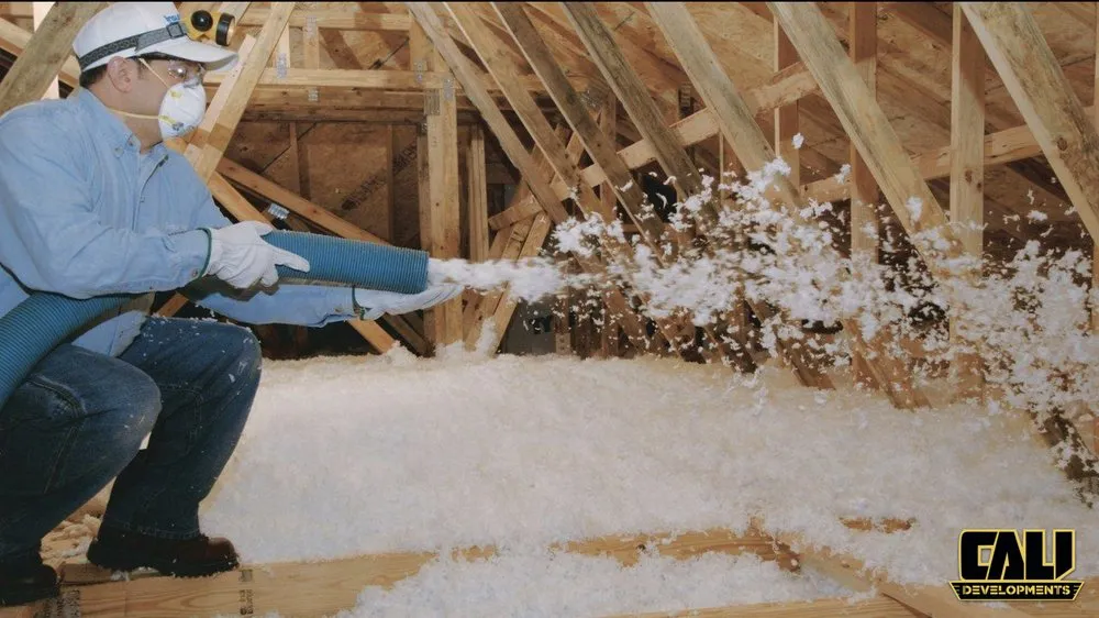 Slide of CALI Developments