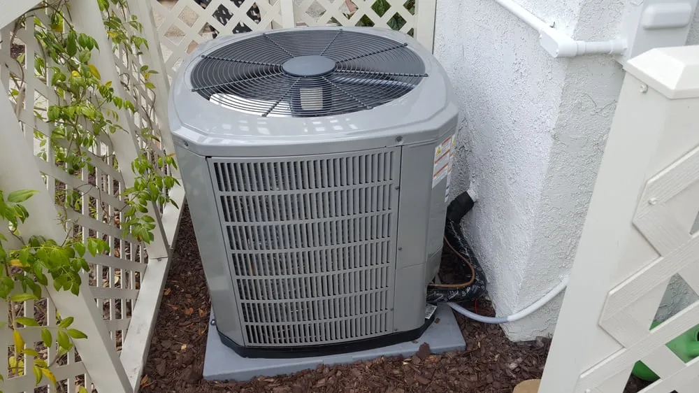 Slide of California Cool Breeze