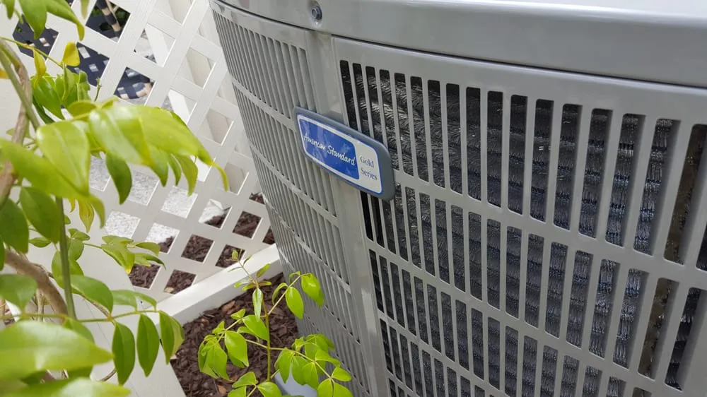 Slide of California Cool Breeze