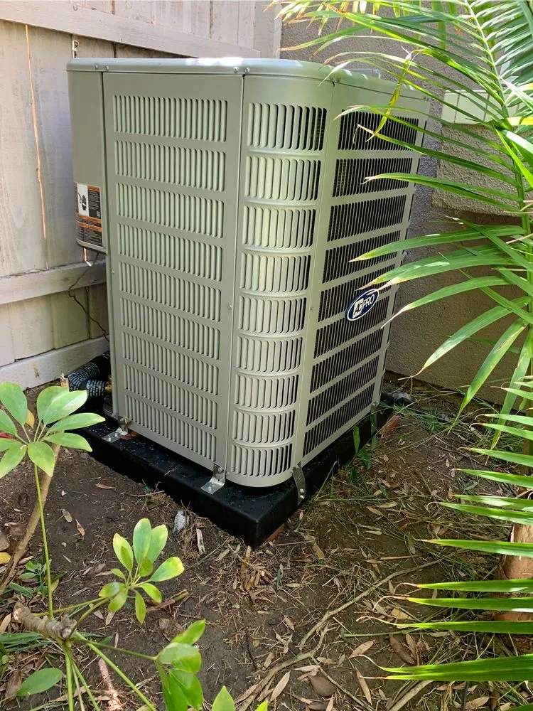 Slide of California Green Breeze