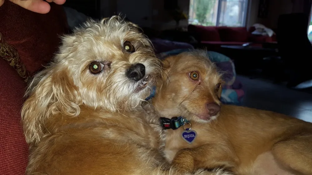 Slide of California Heating & Air Conditioning