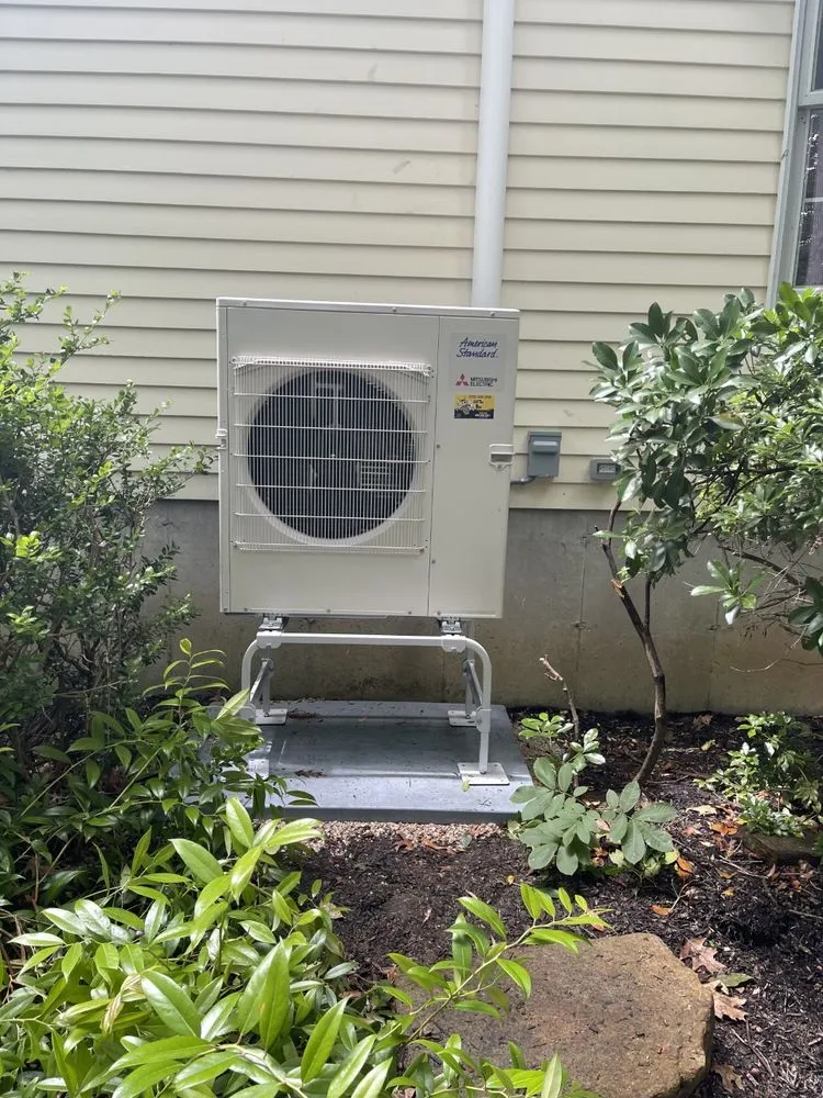 Slide of Call The Bee