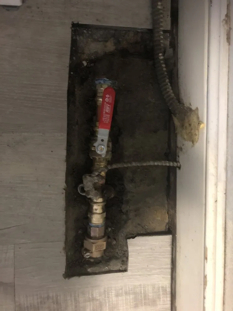 Slide of Call The Bee