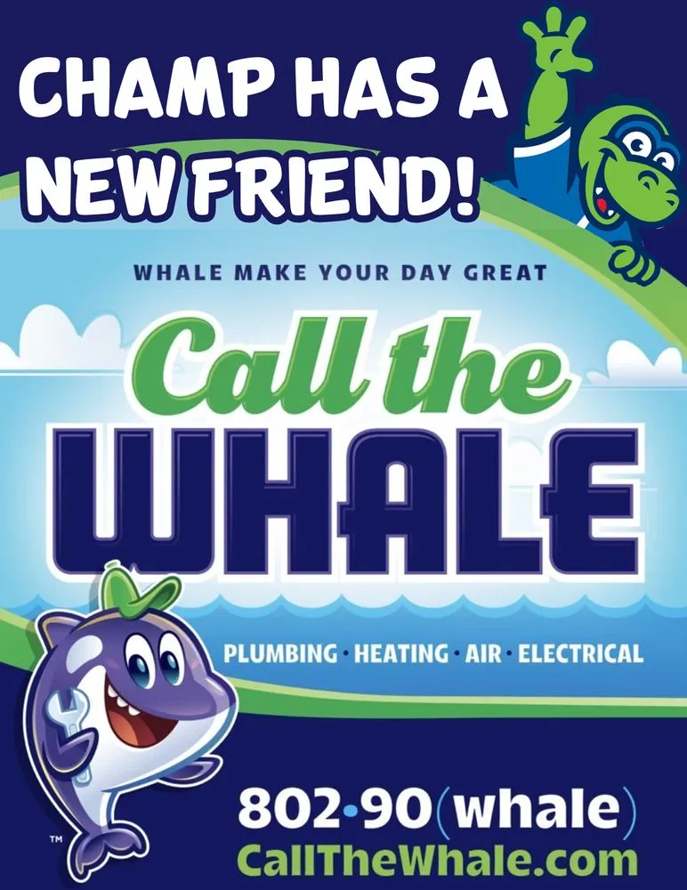 Slide of Call The Whale