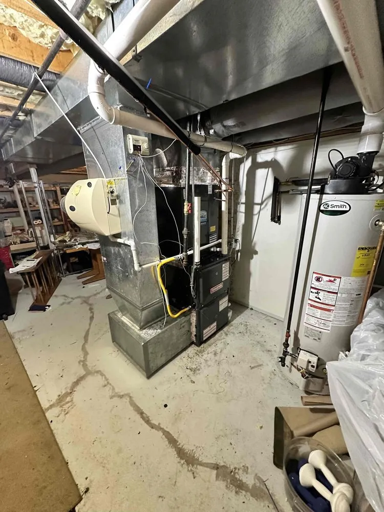 Slide of Call The Whale