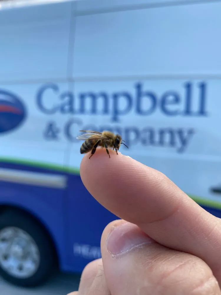 Slide of Campbell & Company