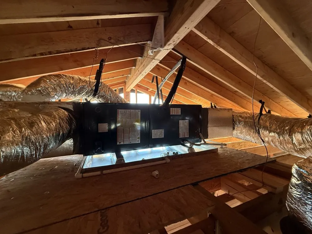 Slide of Canales & Turcios