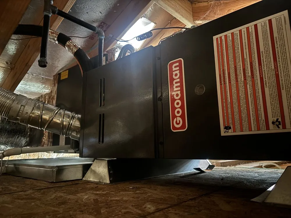 Slide of Canales & Turcios