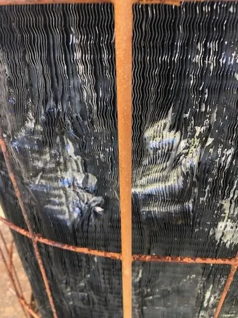 Slide of Cannon Bros